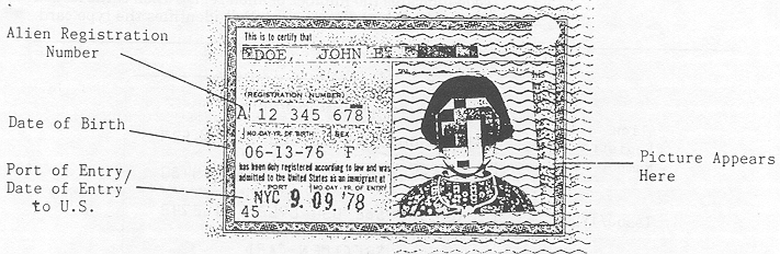 Graphic of Form I-151, which is the version of the Alien Registration Receipt Card issued to aliens by DHS from July 1946 through late 1977.